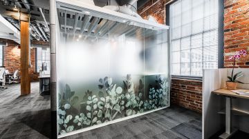 SXJ-0587 Eucalyptus Gradient